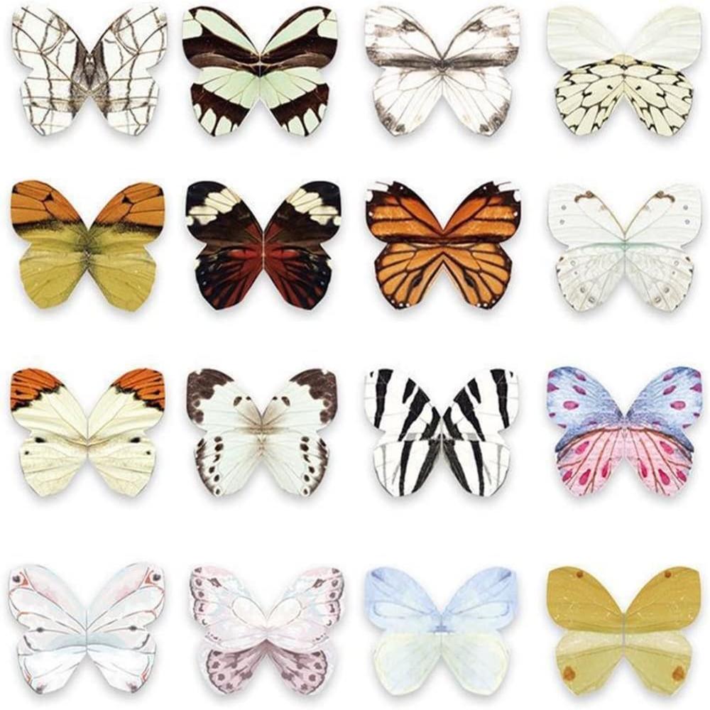 4pcs/Set Cartoon Animals Cat C – Paperclip Magnetic Set Bewertung und Preis